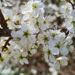 Yoga in Aying mit Herz und Seele