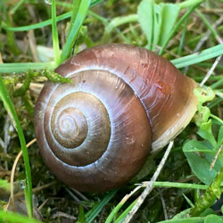 Yoga in Aying mit Herz und Seele